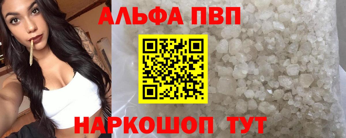 Альфа ПВП СК Кисловодск