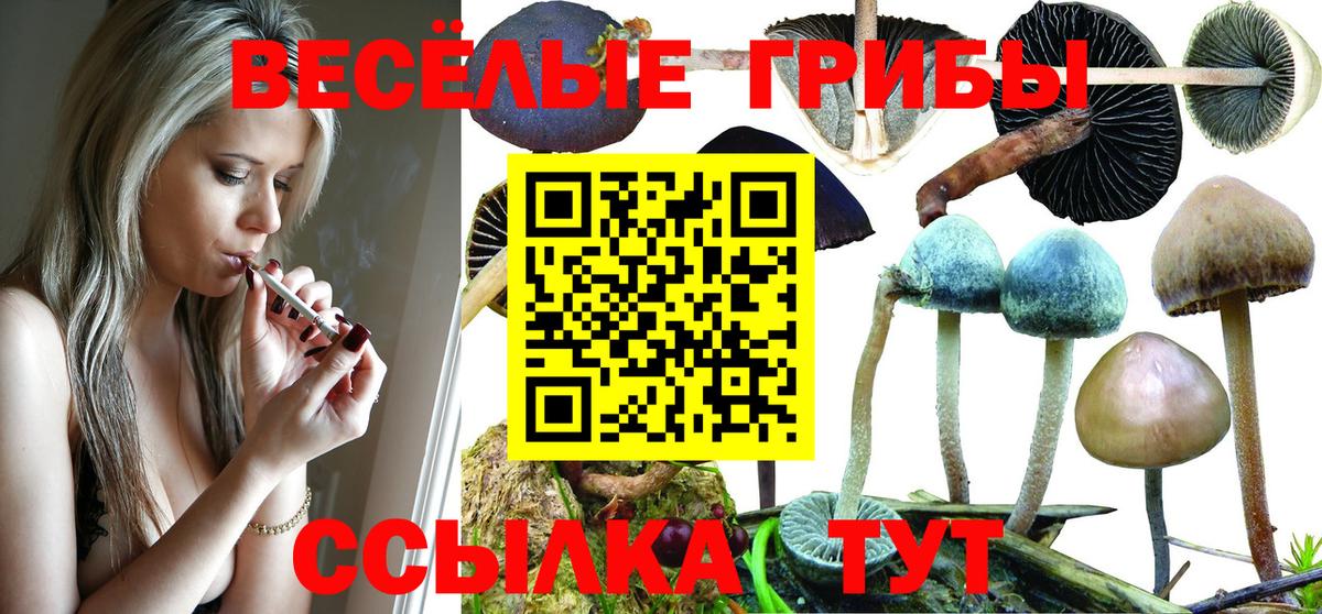Галлюциногенные грибы ЛСД Кисловодск